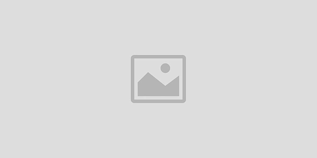 Beecaro Africa promo