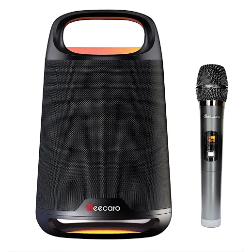 Karaoke Party Speakers